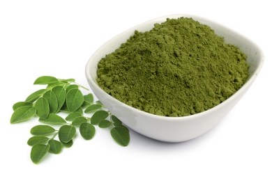 moringa oil company, moringa oil wholesale, moringa oil bulk supplier, moringa oil manufacturer, moringa oil producer, moringa oil bulk seller, moringa oil supplier, moringa leaf powder, organic moringa leaf powder, moringa leaf company, moringa leaf manufacturer, moringa leaf seller, moringa leaf supplier, moringa leaf producer, moringa leaf indonesia, moringa oil indonesia, moringa oleifera, Moringa, Moringa Oil, Organic Moringa Oil, Moringa Essential Oil, Moringa Oil Wholesale, Pure Moringa Oil, Cold Pressed Moringa Oil, Moringa Oil Bulk,Moringa Oleifera Oil, Moringa Powder, Moringa Tea, Moringa Leaf Powder, Moringa Leaves Powder, Moringa Powder Organic, Moringa Tea Bags, Moringa Leaf Extract, Moringa Powder Bulk, Moringa Powder Wholesale moringa oil company, moringa oil wholesale, moringa oil bulk supplier, moringa oil manufacturer, moringa oil producer, moringa oil bulk seller, moringa oil supplier, moringa leaf powder, organic moringa leaf powder, moringa leaf company, moringa leaf manufacturer, moringa leaf seller, moringa leaf supplier, moringa leaf producer, moringa leaf indonesia, moringa oil indonesia, moringa oleifera, Moringa, Moringa Oil, Organic Moringa Oil, Moringa Essential Oil, Moringa Oil Wholesale, Pure Moringa Oil, Cold Pressed Moringa Oil, Moringa Oil Bulk,Moringa Oleifera Oil, Moringa Powder, Moringa Tea, Moringa Leaf Powder, Moringa Leaves Powder, Moringa Powder Organic, Moringa Tea Bags, Moringa Leaf Extract, Moringa Powder Bulk, Moringa Powder Wholesale