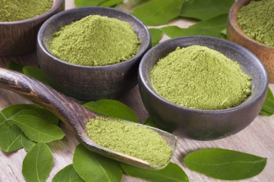 moringa oil company, moringa oil wholesale, moringa oil bulk supplier, moringa oil manufacturer, moringa oil producer, moringa oil bulk seller, moringa oil supplier, moringa leaf powder, organic moringa leaf powder, moringa leaf company, moringa leaf manufacturer, moringa leaf seller, moringa leaf supplier, moringa leaf producer, moringa leaf indonesia, moringa oil indonesia, moringa oleifera, Moringa, Moringa Oil, Organic Moringa Oil, Moringa Essential Oil, Moringa Oil Wholesale, Pure Moringa Oil, Cold Pressed Moringa Oil, Moringa Oil Bulk,Moringa Oleifera Oil, Moringa Powder, Moringa Tea, Moringa Leaf Powder, Moringa Leaves Powder, Moringa Powder Organic, Moringa Tea Bags, Moringa Leaf Extract, Moringa Powder Bulk, Moringa Powder Wholesale moringa oil company, moringa oil wholesale, moringa oil bulk supplier, moringa oil manufacturer, moringa oil producer, moringa oil bulk seller, moringa oil supplier, moringa leaf powder, organic moringa leaf powder, moringa leaf company, moringa leaf manufacturer, moringa leaf seller, moringa leaf supplier, moringa leaf producer, moringa leaf indonesia, moringa oil indonesia, moringa oleifera, Moringa, Moringa Oil, Organic Moringa Oil, Moringa Essential Oil, Moringa Oil Wholesale, Pure Moringa Oil, Cold Pressed Moringa Oil, Moringa Oil Bulk,Moringa Oleifera Oil, Moringa Powder, Moringa Tea, Moringa Leaf Powder, Moringa Leaves Powder, Moringa Powder Organic, Moringa Tea Bags, Moringa Leaf Extract, Moringa Powder Bulk, Moringa Powder Wholesale