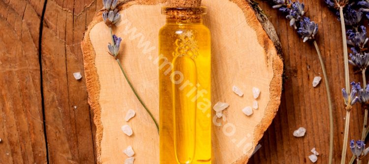 Here Are The Various Benefits Of Pure Moringa Oil