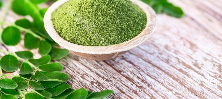 Get To Know Organic Moringa Leaf Powder, A High Nutritious Product From Indonesia