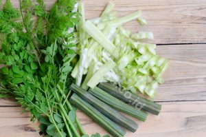 Moringa Leaf As The Strong Cosmetic Composition