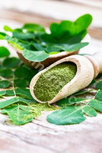Moringa Tea As A Favorite Dish In Foreign Countries, This Is The Reason!