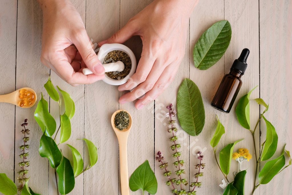 Moringa Tea: Exploring The Benefit Of Bioactive Compounds