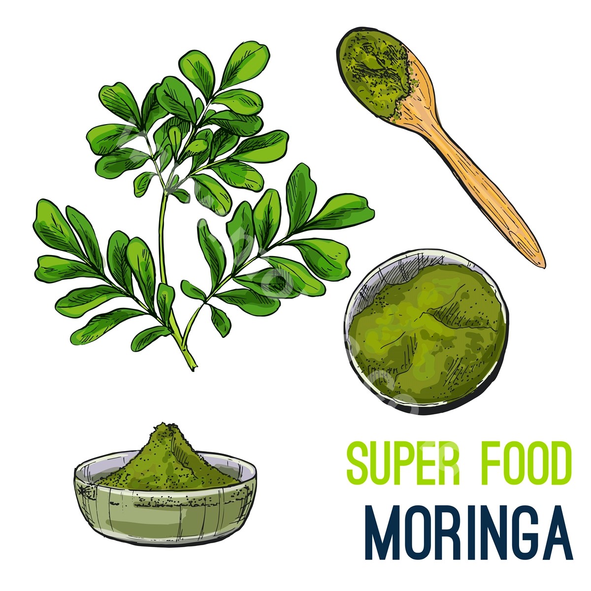 Moringa Powder Organic So Coveted World Healthy Food Lovers