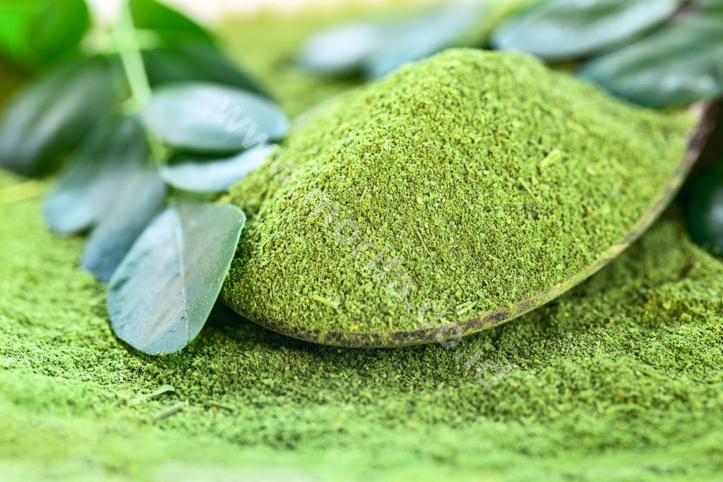 Business Opportunity : Moringa Powder Bulk