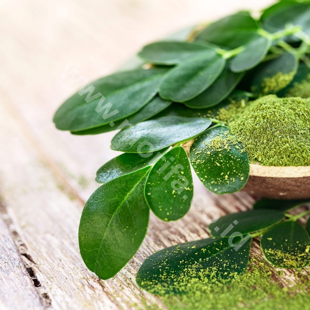 Moringa Leaf Extract: The Way To Produce And How To Use