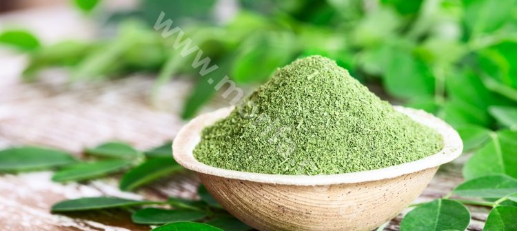 Moringa Tea As A Favorite Dish In Foreign Countries, This Is The Reason!