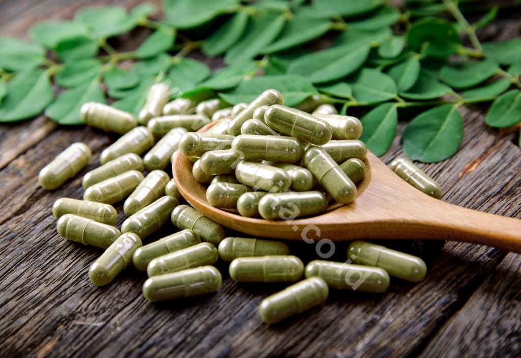 Business Opportunity : Moringa Powder Bulk