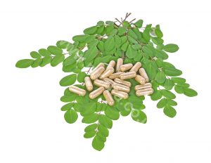 The Origin of Moringa Leaves are Rarely People Know