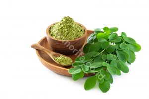 Facts About Health Benefits of Moringa Leaf Powder That Has Been Researched