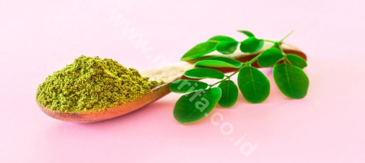 Keep The Glucose In A Good Level With Moringa Tea Bags