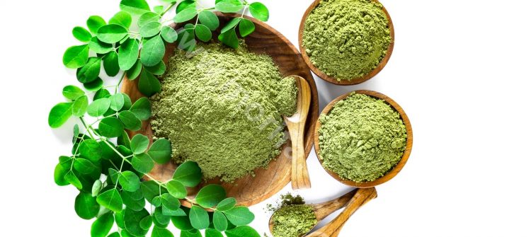 A Miracles Of Moringa Leaves Powder For Pregnant And Breastfeeding Mothers