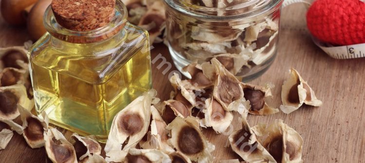 The Best Way To Store Moringa Oil Bulk