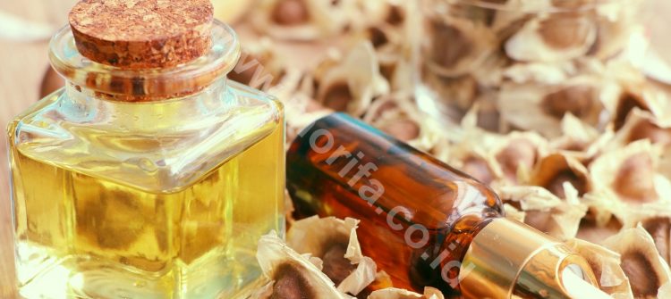 Moringa Oil Wholesale For Worldwide Sellers