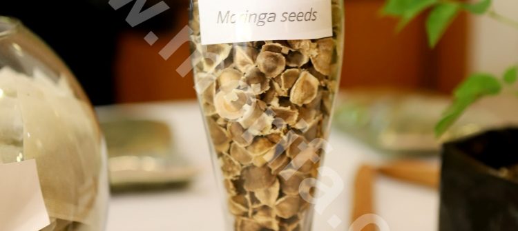 Moringa Oil Wholesale Worldwide