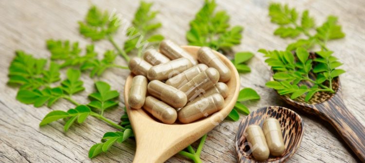 Myths And Facts About Moringa Powder