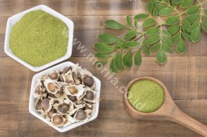 Moringa Leaves Powder For Traditional Medicine In United State Of America