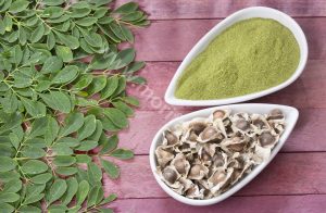 Moringa Oil Benefits For Men