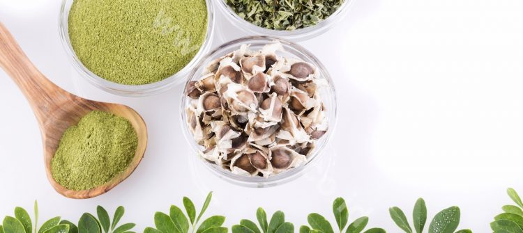 Selecting The Best Moringa Oil Bulk Producers