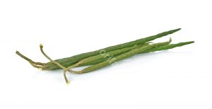 The Magical Compounds Of Moringa Tea That You Need To Know