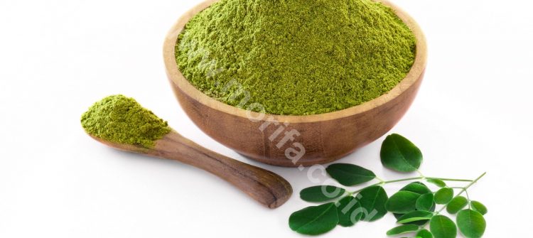 The Magical Compounds Of Moringa Tea That You Need To Know