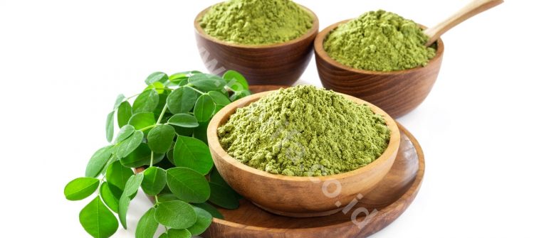 Moringa tea bags