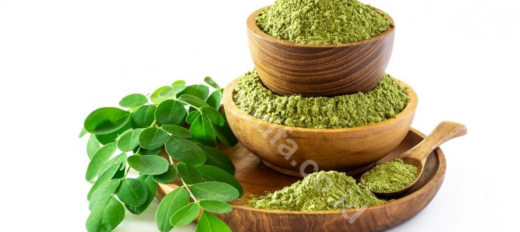 Variety Of Delicious Ways To Process Moringa Oleifera Powder