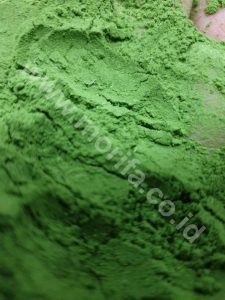 Moringa Oil Bulk Business Strategy Saving Profit Multiplied