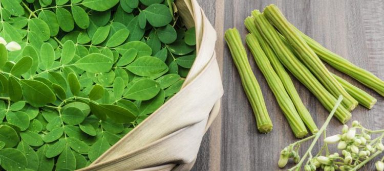 The Benefits of Moringa for Your Health