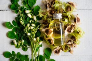 Moringa Oil Wholesale Where to Get the Best Quality