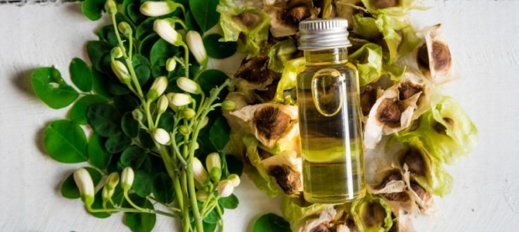 Moringa Oil Wholesale Where to Get the Best Quality