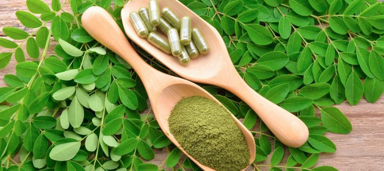 How To Start A Business With Moringa Powder Wholesale