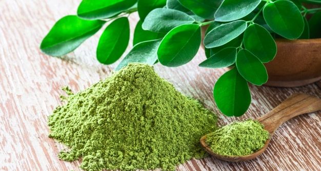 The Moringa Oil Bulk Products for Your Beauty