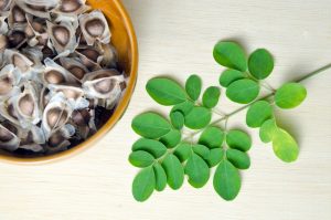 High Quality Moringa Oil Bulk and Its Positive Effect