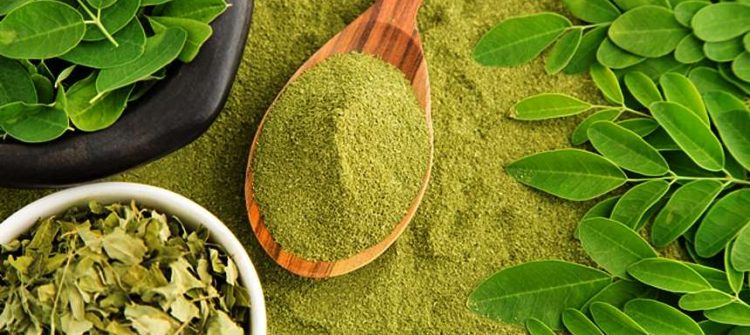 Get to Know Moringa Benefits for Skin Beauty