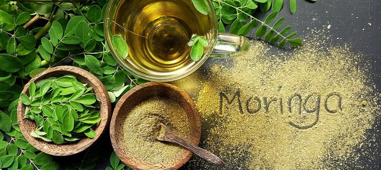Moringa Tea Miracle Drink with Lots of Benefits