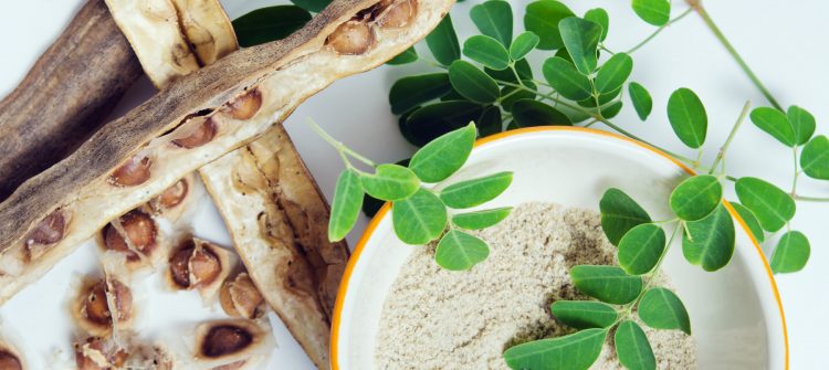 Moringa Powder Organic, Perfect Answer for Those Suffering Arthritis