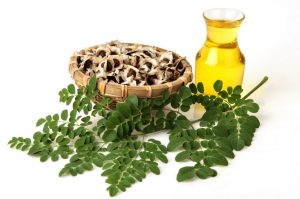 Moringa Essential Oil Major Benefits and Uses