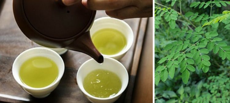 Tips to Tell Moringa Tea Bags Is Good Quality