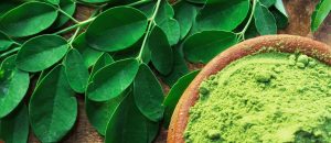 Moringa Leaf Extract Vs Spirulina, Which Is Better