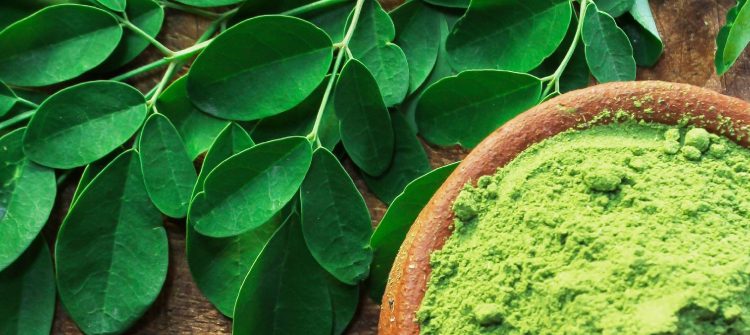 Moringa Leaf Extract Vs Spirulina, Which Is Better