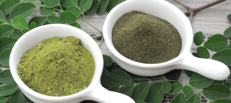 A Moringa Powder Wholesale for your Profitable Business Idea