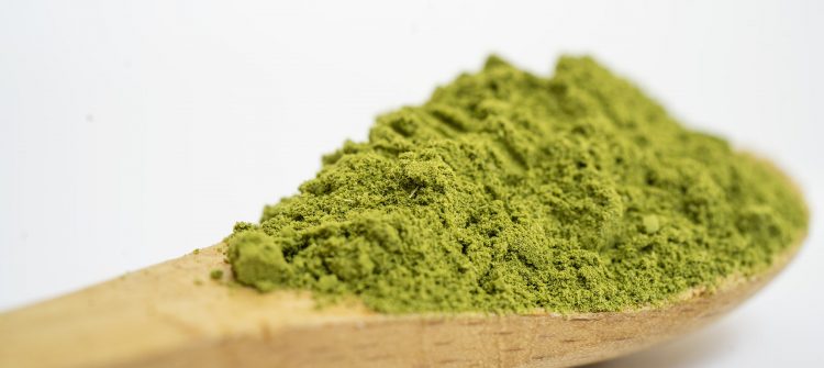 Moringa Leaves Powder Benefits for Human Body