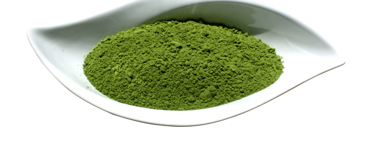 Important Facts about the Moringa Leaves Powder to Note