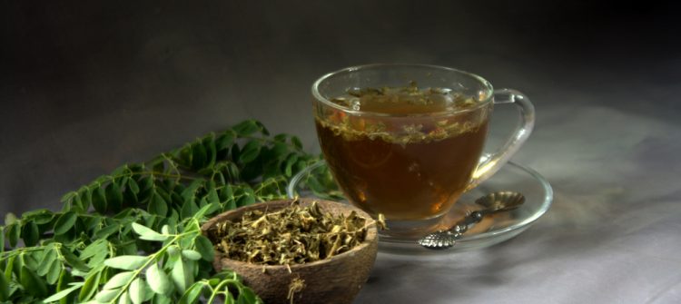 Countless Benefits of Moringa Tea Bags Man Should Know