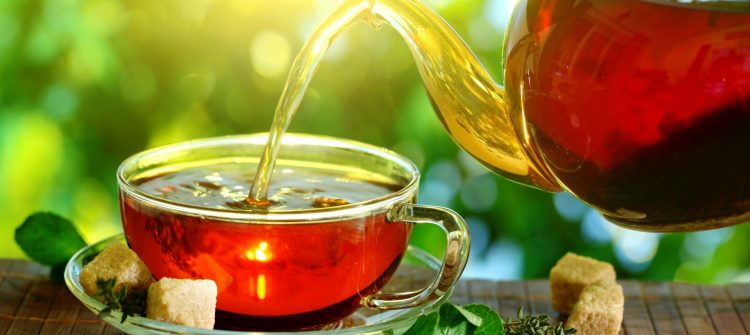 Moringa Tea Bags Benefits for Healthy and Shiny Hair