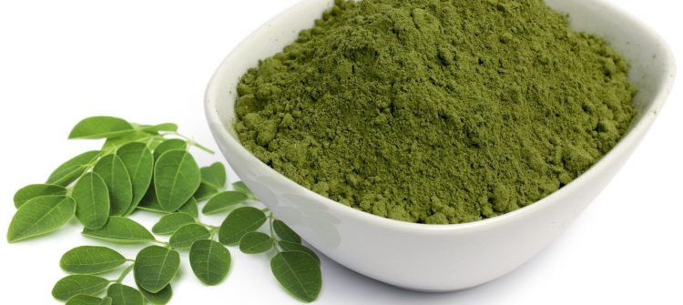 Understanding the Benefit of Moringa Powder Bulk for Health