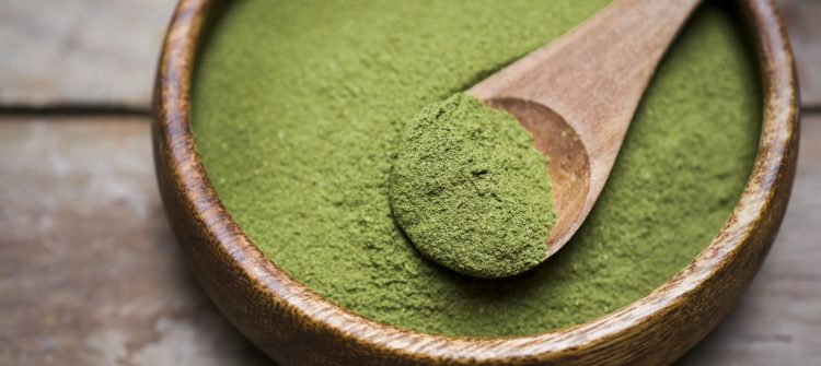 Advantages of Running Moringa Powder Wholesale Business