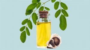 Moringa Oleifera Oil Benefits for Your Skin