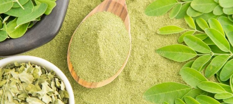 Get to Know Moringa Powder Properties for Your Health